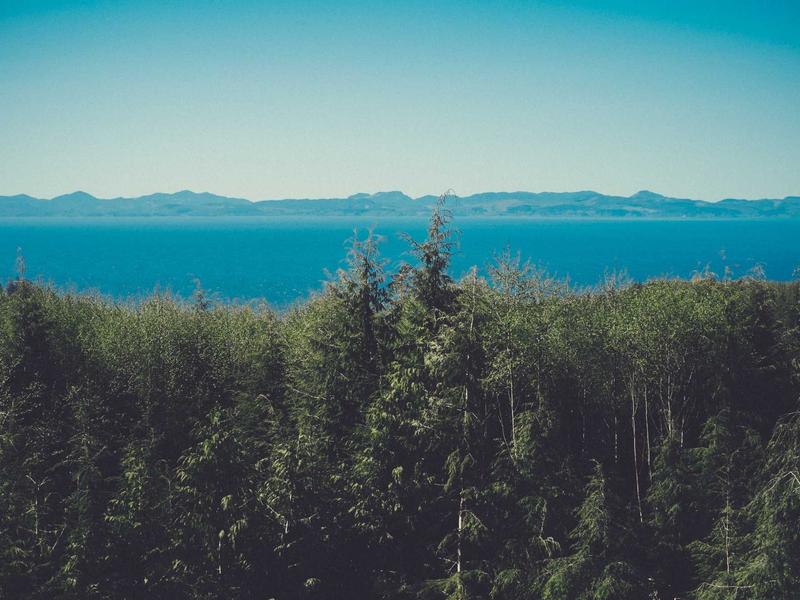 株式会社弥生ダウンロードyayoi【公式】