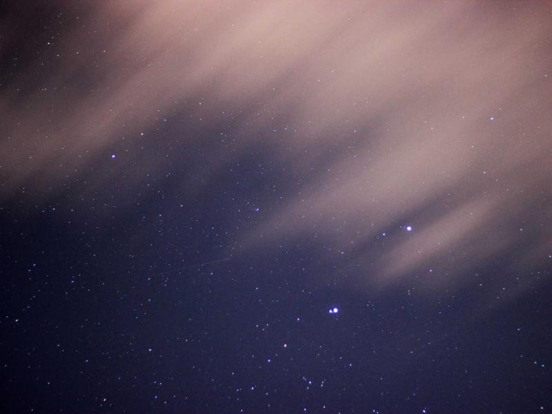 飲食店開業-弥生会計 - 弥生株式会社|公式